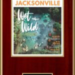 2021 Jacksonville Magazine Top Doctors - Jamie Cesaretti, MD